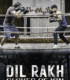 Dil Rakh: Kin Eldivenleri